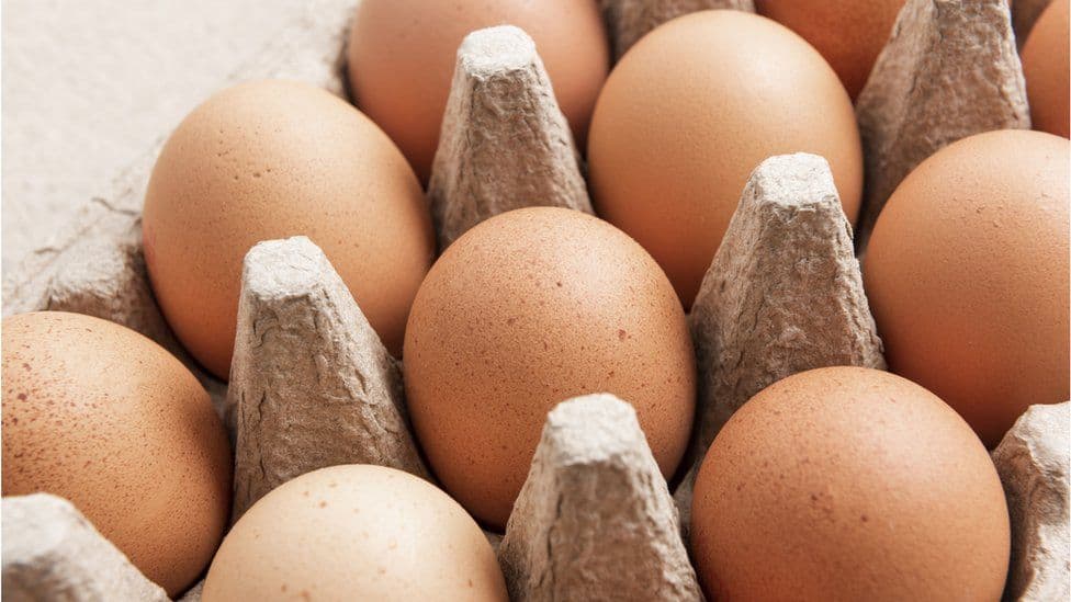 Eggs